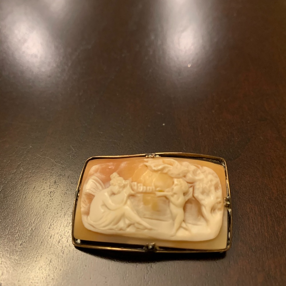 Vintage faux cameo brooch